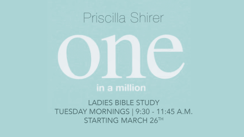 Ladies Bible Study: One in a Million