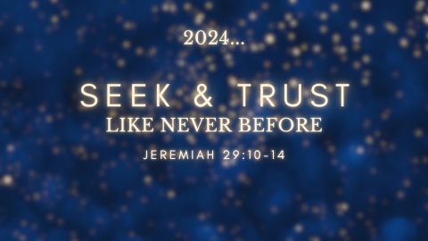 Seek & Trust Like Never Before