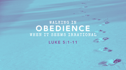 Walking in Obedience When It Seems Irrational